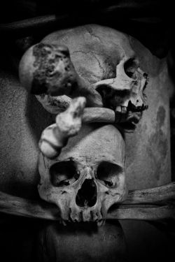 chaosophia218:  Sedlec Ossuary, Czech Republic.