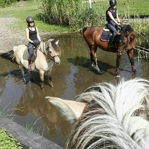 Had a lovely last summer ride today with @vdl_mirte and @gwenmusic_1 #zutendaal #belgium #limburg #n