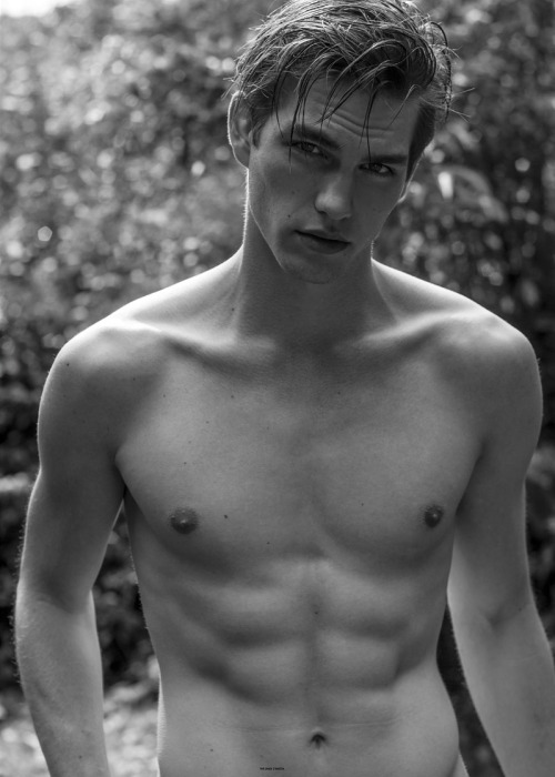 🐧 You Must Be Gay+ To View This Blog*