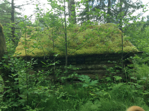 digitalramen:jeremylawson:Bella Coola CabinYou wouldn’t even know this tiny house is the