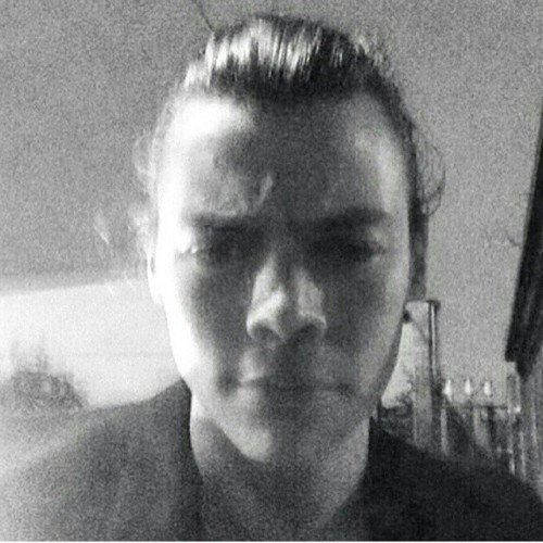 harrything: WAIT IS THIS A SELFIE ?