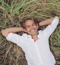 dstroyed-teen:  My philosophy is: If you can’t have fun, there’s no sense in doing it.- Paul Walker 