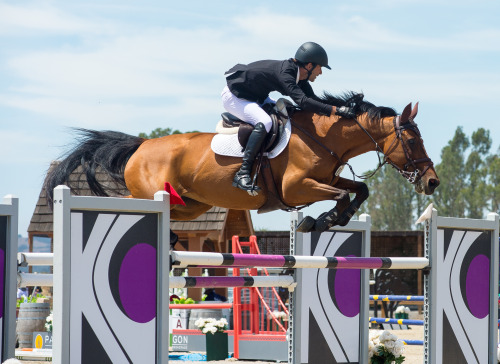 MATIAS FERNANDEZ and ALEGRIA   in the Sonoma Sonoma Giant Steps Charity Horse Show $25,000 Bay Club 