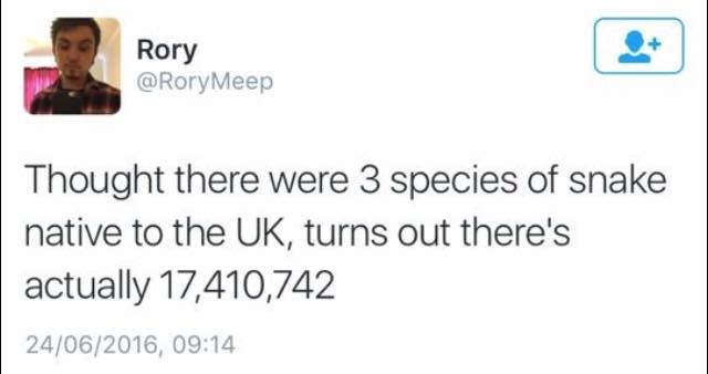 ameliastardust:  Honestly