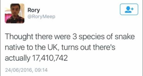 ameliastardust:  Honestly