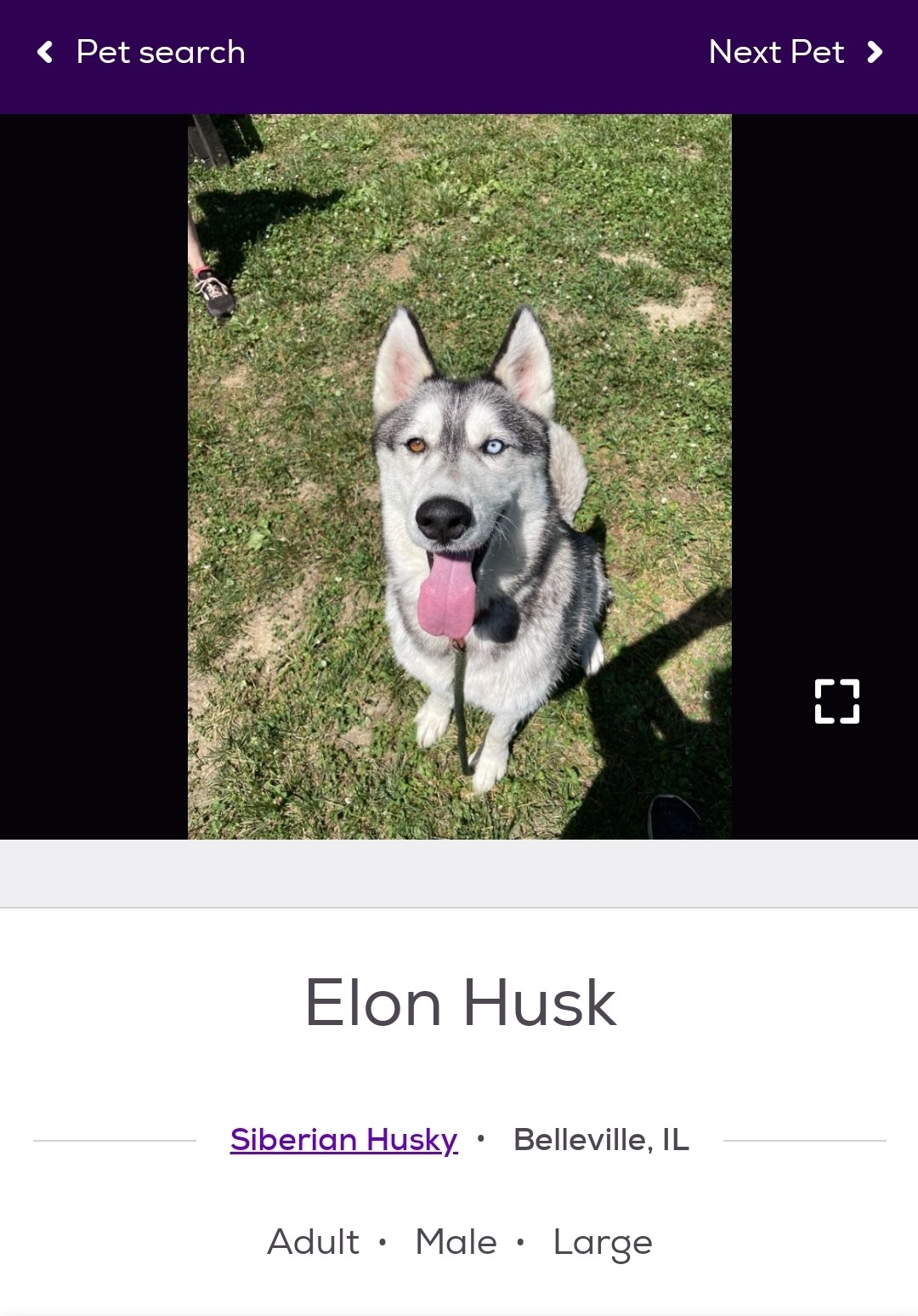 Funny Pet Names Found On The Internet Funny Pet Names Found On The Internet