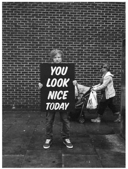 the-beauty-of-words-blog:  My lovely followers, please follow this blog immediately!