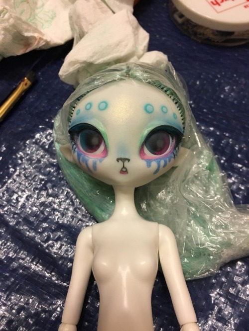 Repainting a Novi Star as certainly been a new experience! The lack of sculpted nose and mouth is bo