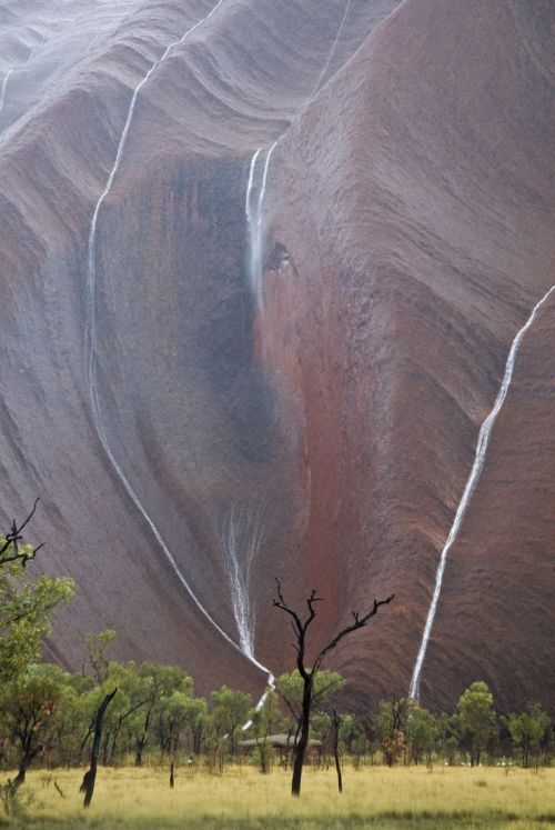 this-music-is-dead:  praial:Australia: Uluru Waterfalls  Beautiful