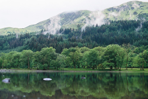 eyeleaves:Nicola Abraham, Loch Lomond. 2014