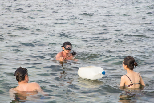 Spear Fishing off the Coast of VietnamLocation: Phu Quoc, VietnamThere are a few activities in this 