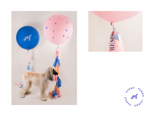 Branding for a small business dedicated to party and event decoration with a penchant for paper, des