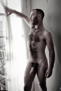 BACKFUR - Hairy/bear/horny/daddy