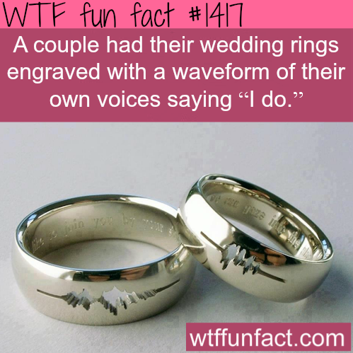 wtf-fun-factss:  best idea for wedding rings WTF FUN FACTS HOME / SEE MORE tagged/awesome FACTS