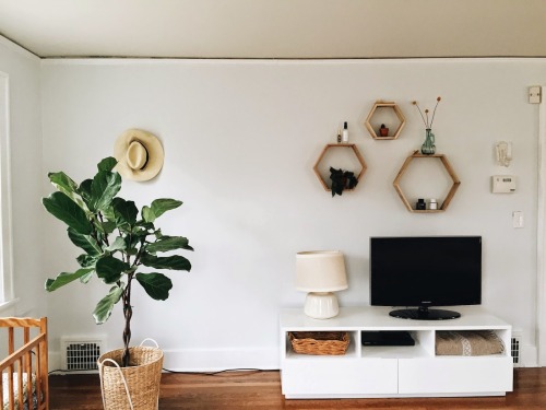 simply-divine-creation:It’s the little things