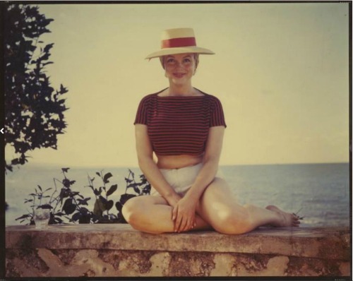 ludivinemargueritesereni: Marilyn M. by Sam S.