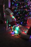 Had another little shoot with babe in her new lingerie 😈😏🎄🎅🏼🧑🏼‍🎄