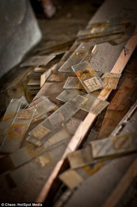 sixpenceee:  An imgur user shared what he calls “The Real Frankenstein Laboratory” hidden in the basement of the School of Veterinary Medicine. This lab was discovered deep in abandoned veterinary school and photographed by MMG Zegwaard. (Source &