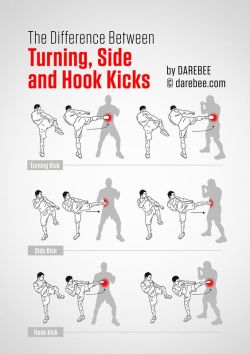 sifu-taichi-kungfu:   Several Kicks Practice Workout    Follow back 