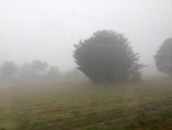 abiding-in-peace:  Morning landscape near Ballan, Victoria Australa - Taken from amoving train abiding-in-peace