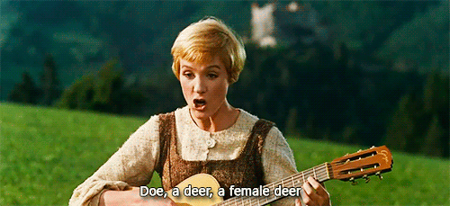 abbygubler:  ohrobbybaby:  The Sound of Music (1965)  tumblr fucked me up so bad i kept expecting something ridiculous to happen at the end like a still of her telling the kids to go fuck themselves smh 