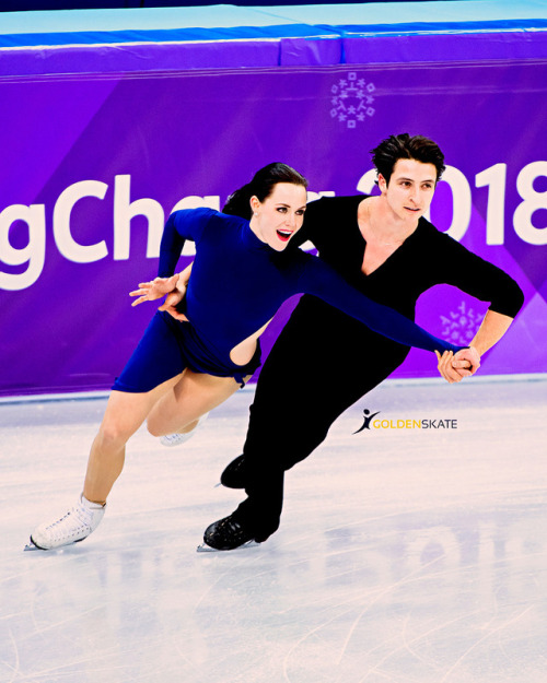 scott moir