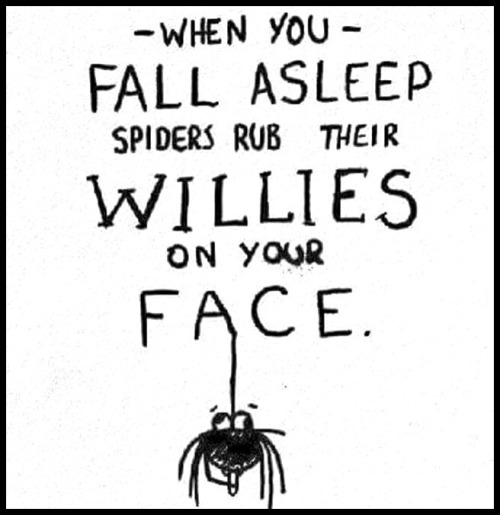 monchichitamberine:  @vinnyvienna lol