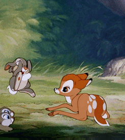 fantasia1940:  Come on Bambi, get up! 