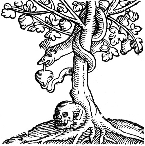 deathandmysticism:Sebastian Münster, Tree of the Knowledge of Good and Evil, 16th century