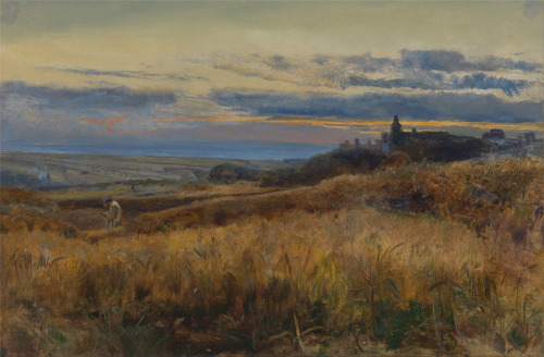 poboh:Cornfield at Sunset, John William Inchbold. English (1830 - 1888)