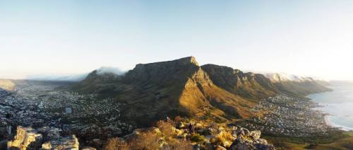 Table Mountain – Blooming lovely.The name, Table Mountain, is of course a descriptive one, as the mo