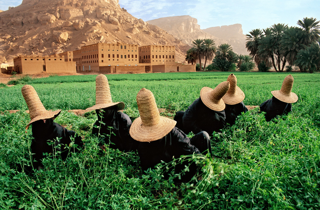 unearthedviews:  YEMEN. Hadhramaut. Shibam. 1997. Women Gathering Clover.   © Steve
