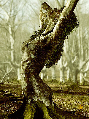 wlnterwonderland:  Dryads In Greek mythology, porn pictures