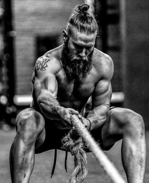 All the Beardos