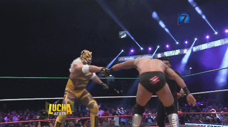 awesomebutternuggets:  Lucha Libre Elite - Lucha Azteca - July 28 2016Rocky Lobo