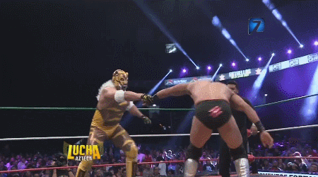 awesomebutternuggets:  Lucha Libre Elite adult photos