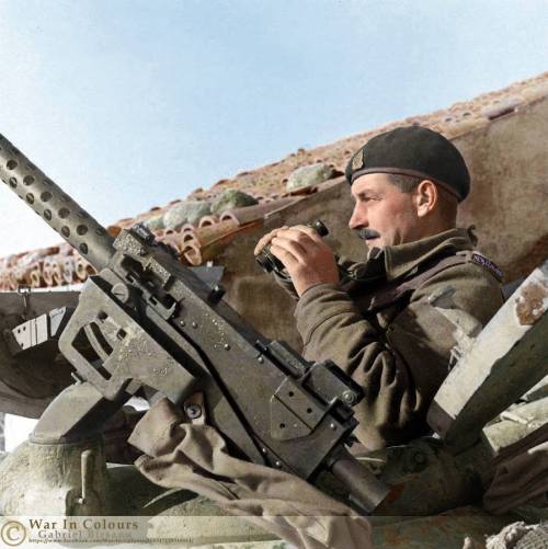  A New Zealand tank commander with a .30 cal Browning MG mounted on a Sherman tank (T146711) of 5 tr