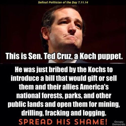 poliscrutiny101: Please be sure to SHARE this one! “On Tuesday, Cruz filed an amendment to the