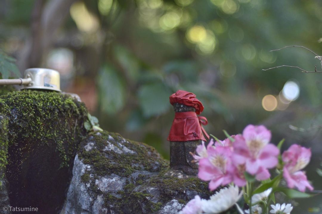 little JIZOU-sama
小さなお地蔵さん
2020.11.14
Nikon D5600+Nikon Ai NIKKOR 50mm f/1.4
(井の頭恩賜公園 (Inokashira Park))
https://www.instagram.com/p/CISVoVoplsW/?igshid=jjks15oo3th0