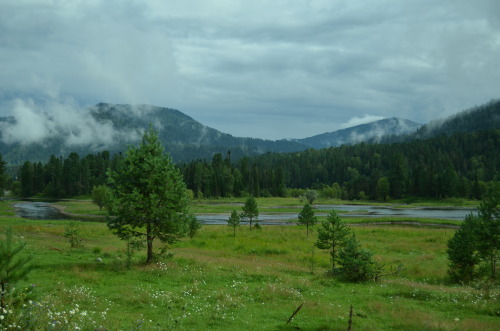 inthecornerofthesky:   Altai. Altai republic.   Biya river.