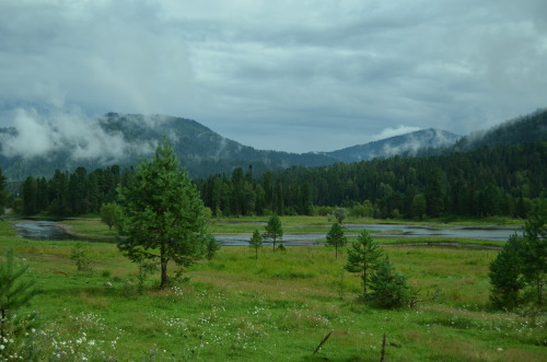 inthecornerofthesky: Altai. Altai republic. Biya river. 