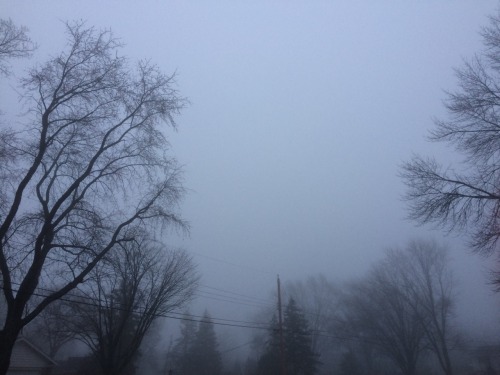 theartistandthephotographer:Been pretty foggy this past week