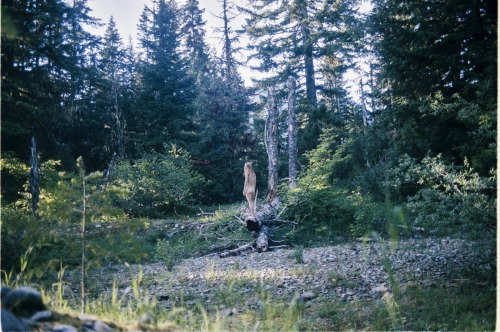 crookedoaks:  Nude in the woods