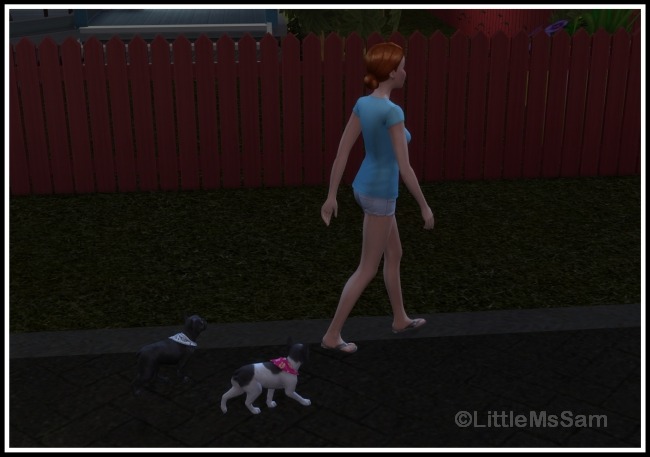 LittleMsSam's Sims 4 Mods