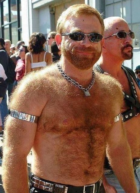 trianglealphadad2:  Gingered excellence 
