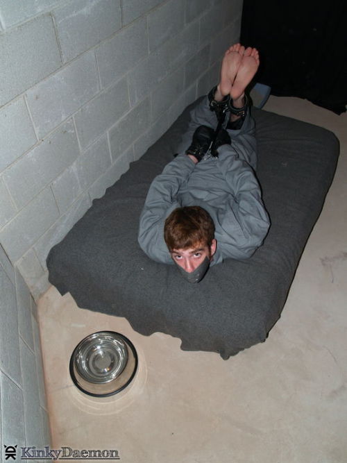 kinkydaemon: KinkyDaemon on Recon, Twitter, BDSMLR, FetLife, @gmail,com, and KinkyDaemon.com (yes, w