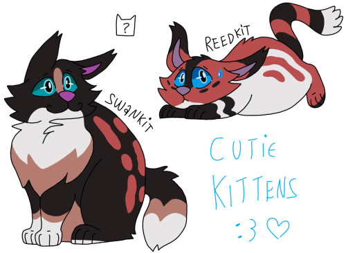 Commission For Cat-soap-opera