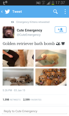 Ijustlikevideogames:  You-Know-Everything-Jon-Snow:  This Is The Best Bath Bomb Meme