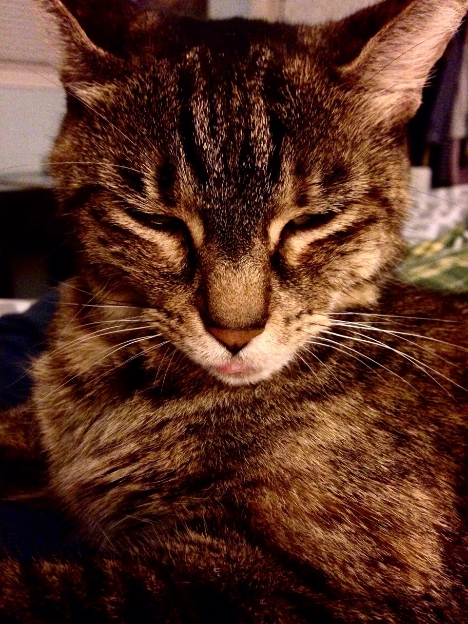 The tiniest of bleps.