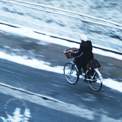 copenhagenvikingbiking:  Just go with the icy flow. #VikingBiking #Copenhagen